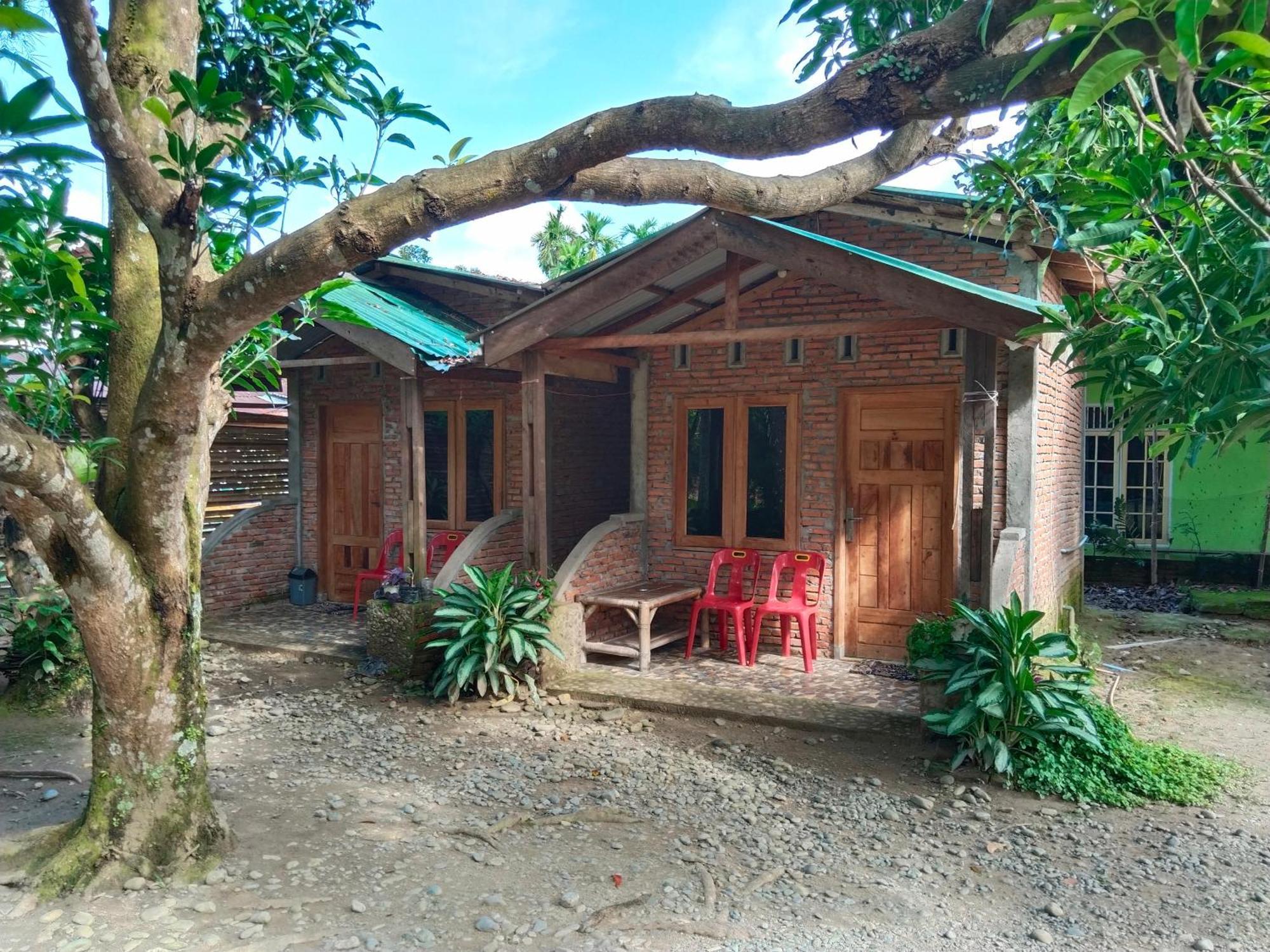 Jhony'S Backpacker-Guest House Only Stay Here Book Treking With Us Bukit Lawang Exterior foto